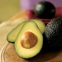 avocado avocado